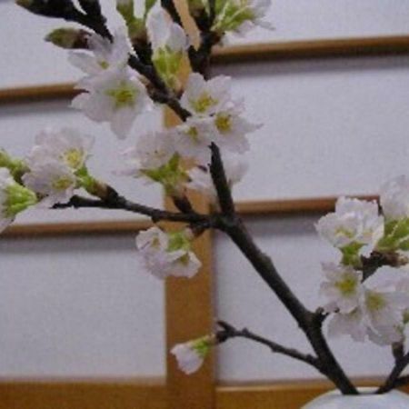 Wakaba Ryokan / Vacation Stay 29376 Sakata Bagian luar foto